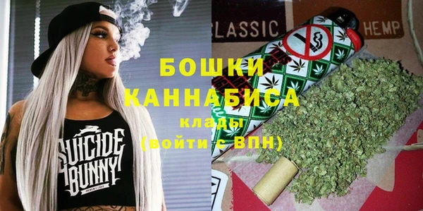 спайс Лагань