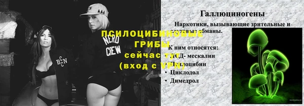 спайс Лагань