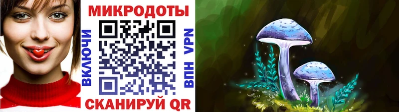 Купить закладки  Завитинск  Псилоцибиновые грибы Magic Shrooms 